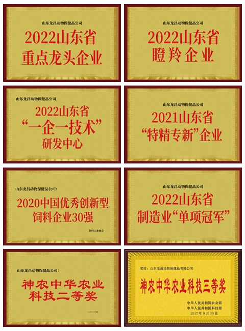 荣誉.jpg