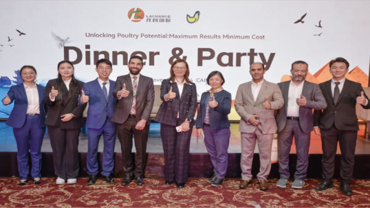 埃及龙昌行 | 响应“一带一路”，共同探